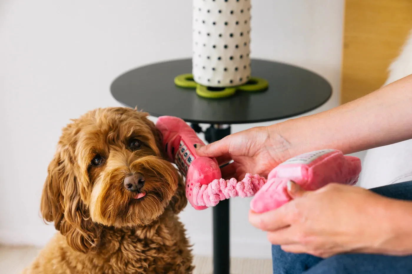 Dog Plush Toy - 80s Classic