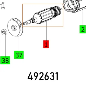 Festool, Armature Ro 125 230V Et-Bg, FES492631