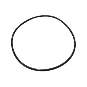 Main O-ring