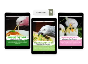 Natural Feeding System (Digital Download)