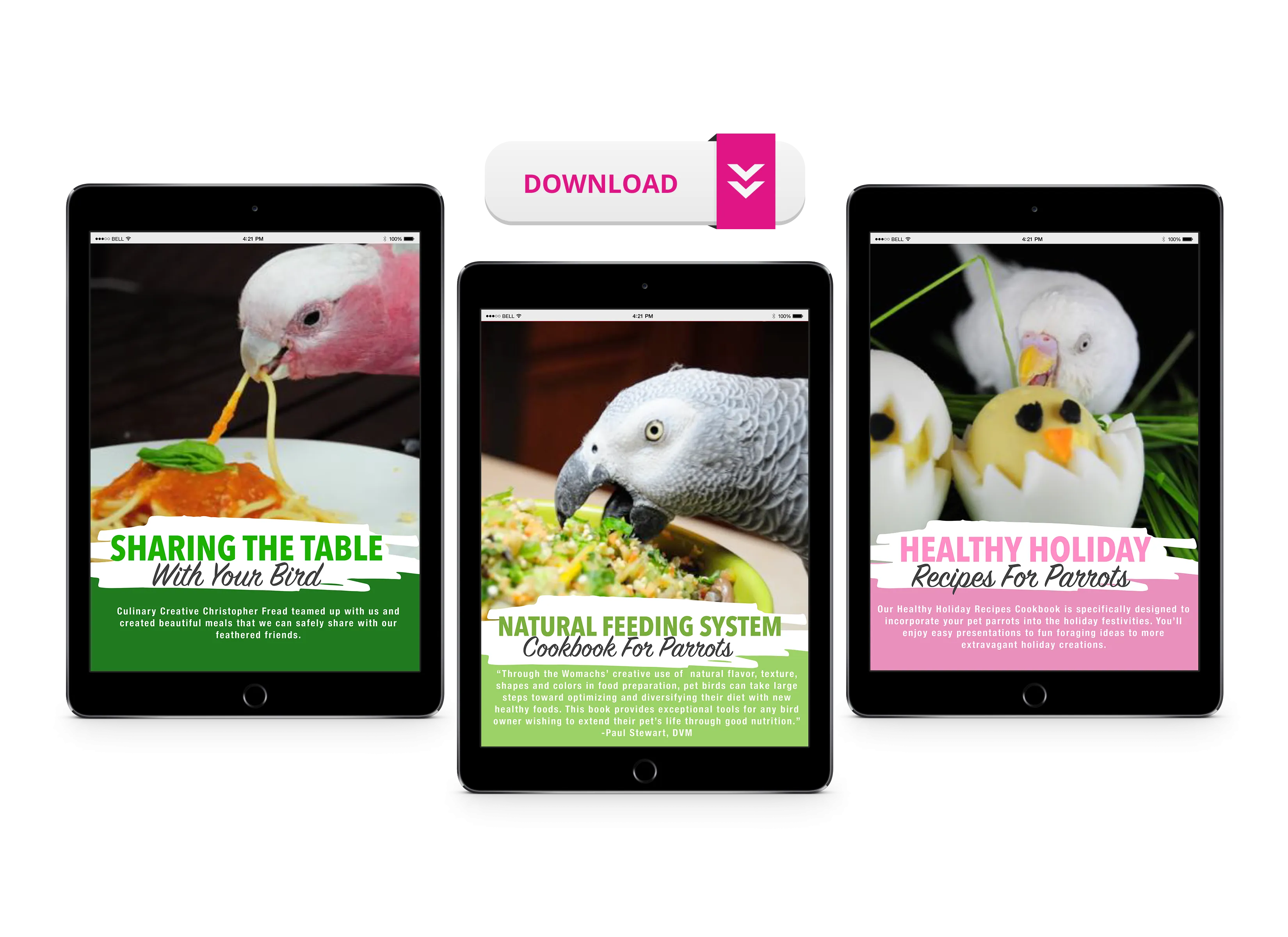 Natural Feeding System (Digital Download)