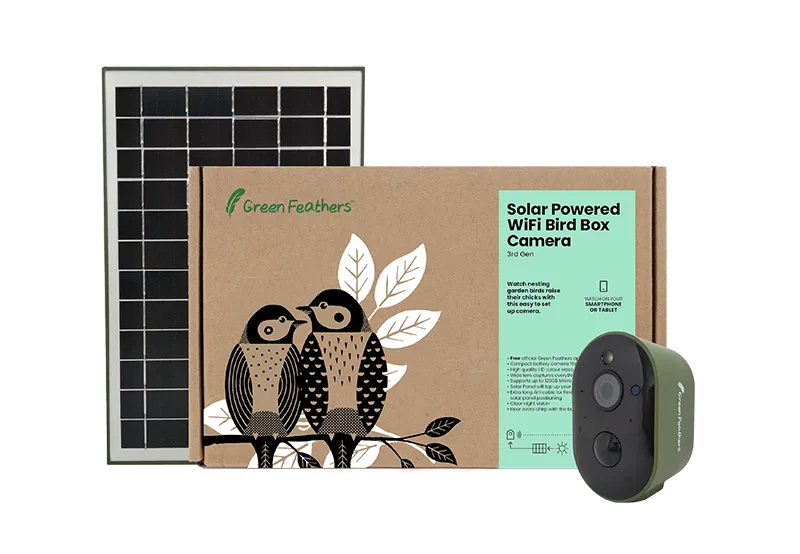 Solar Powered WiFi Bird Box HD Camera Complete Pack