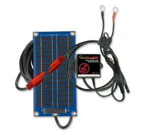 SolarPulse Solar Battery Charger & Maintainer - 3-Watt | 735X453