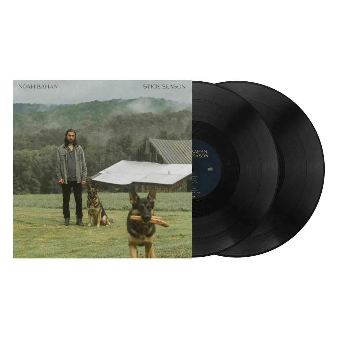 Stick Season Vinyl LP