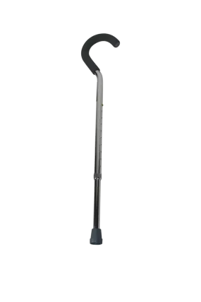 Swan Neck Silver Walking Stick