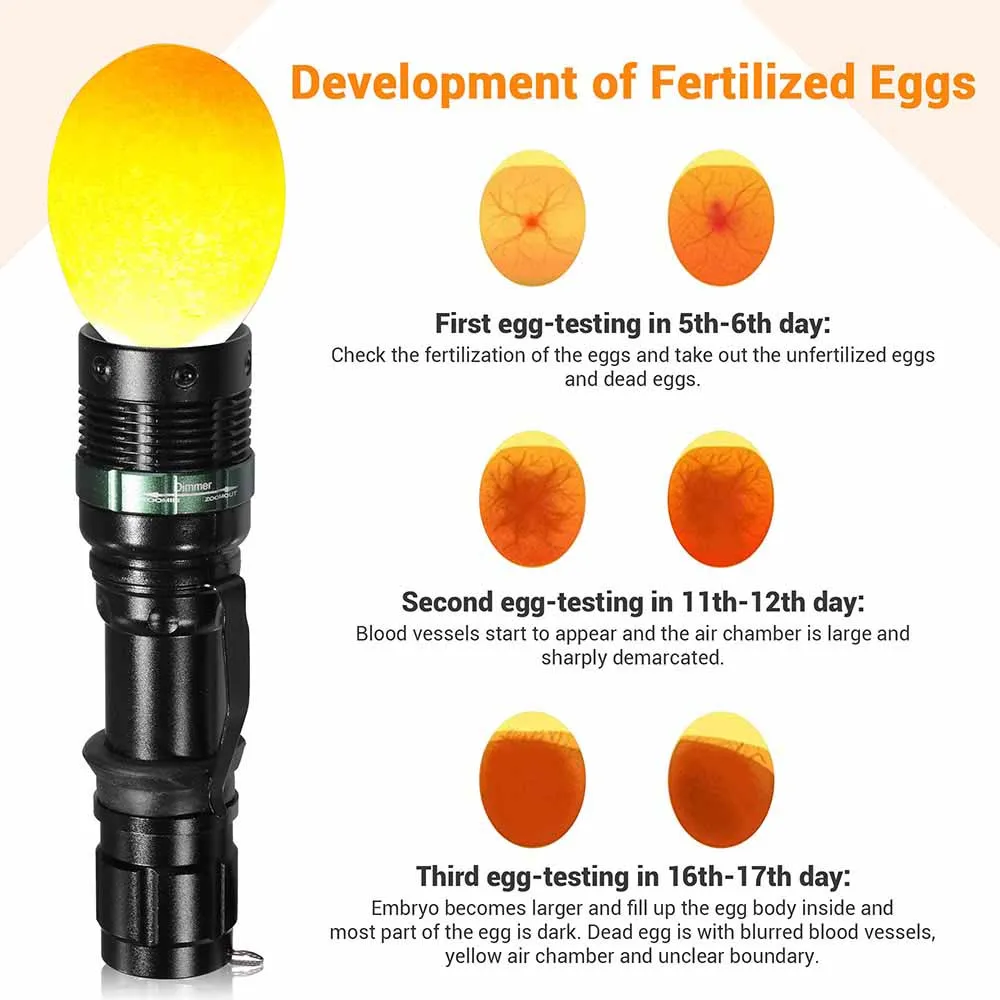 TheLAShop 5W Cool Light LED Handheld Egg Candler Egg Tester Torch